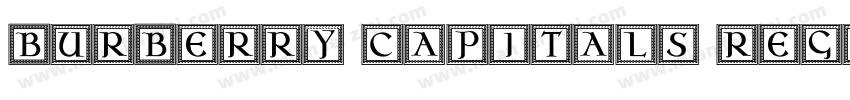 Burberry Capitals Regular字体转换